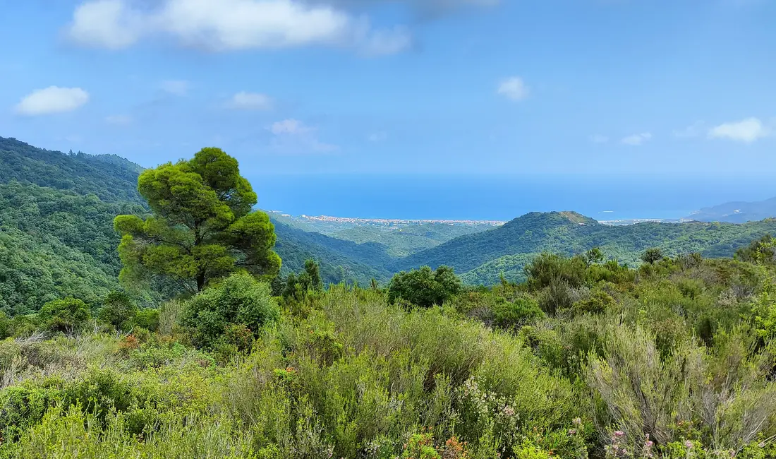 The view from the hills above Sarti across Sithonia's open east coast, Mount Athos on the horizon